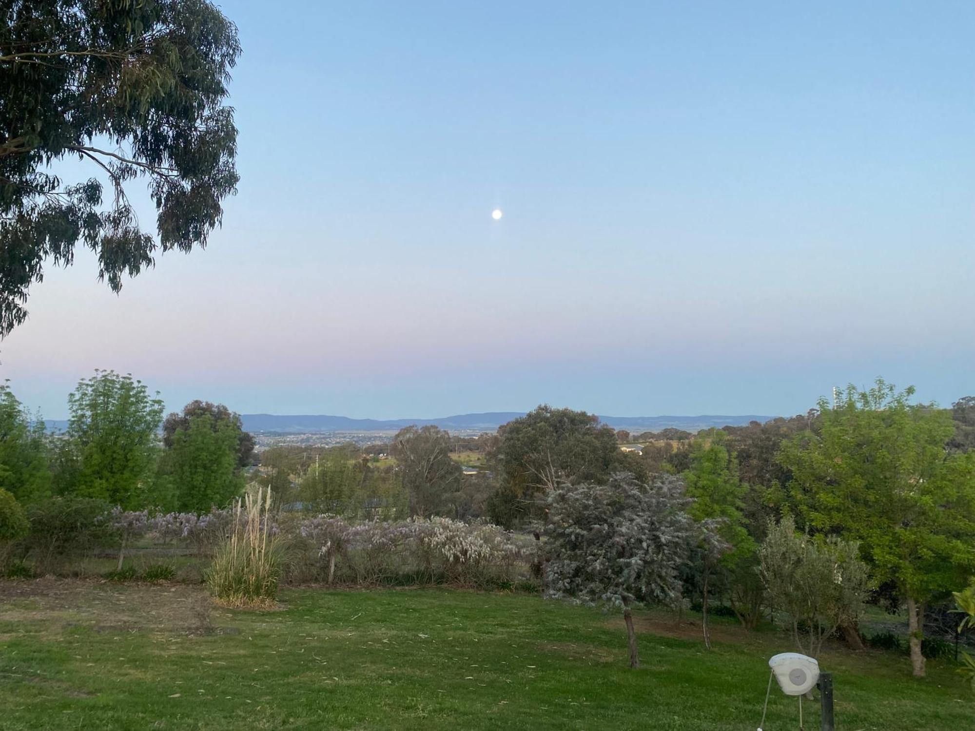 Darcy'S Ranch Hotel Bathurst Kültér fotó
