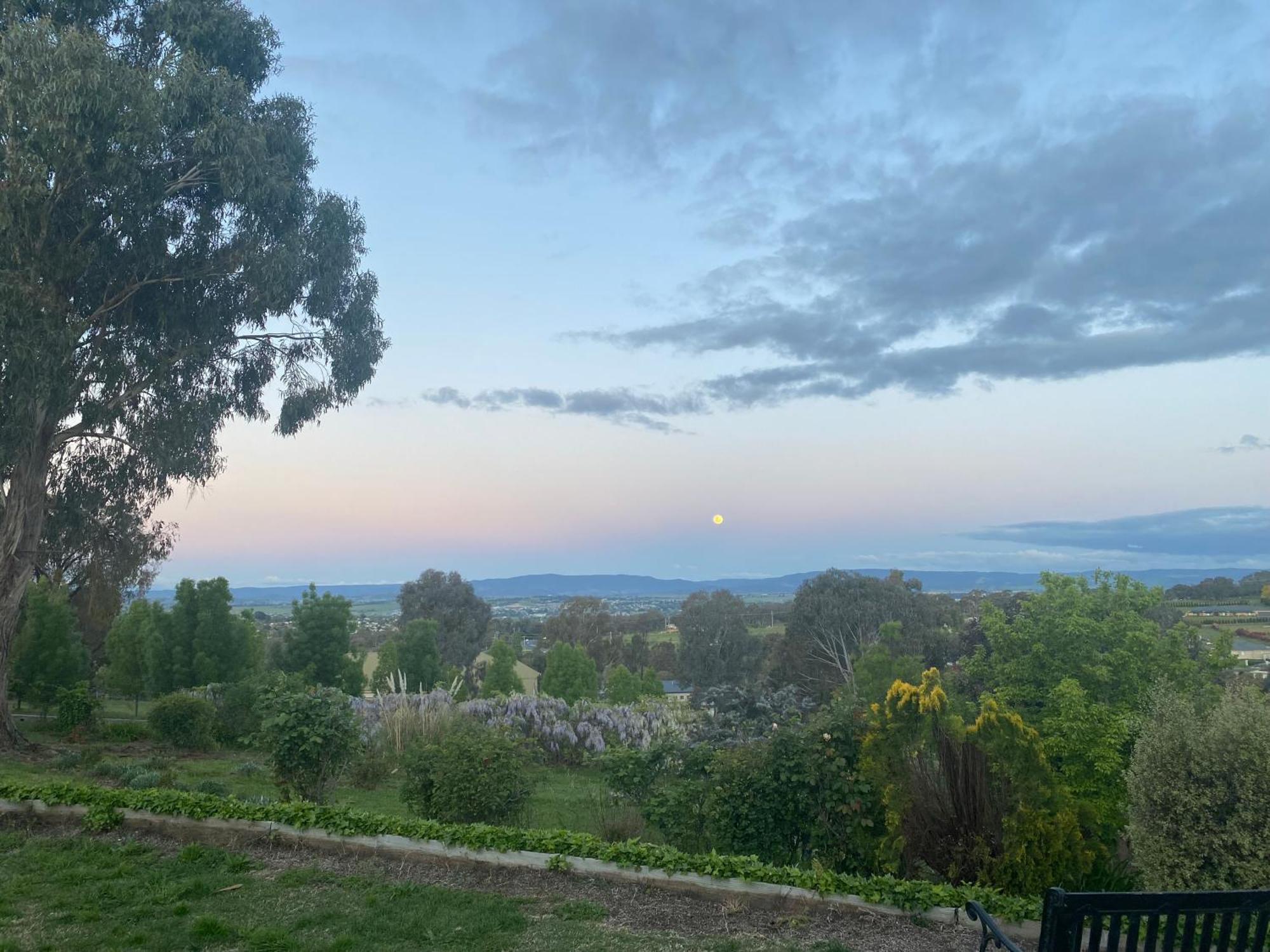 Darcy'S Ranch Hotel Bathurst Kültér fotó